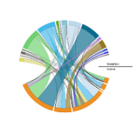 Participation of Final Consumption by Sectors